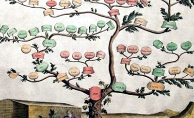 Albero genealogico Ancestor Tour